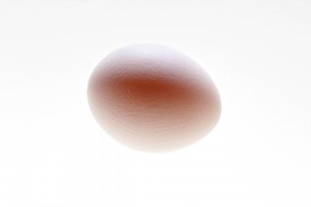 Egg