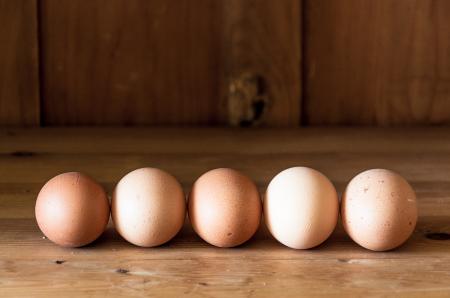 Eggs on wood background