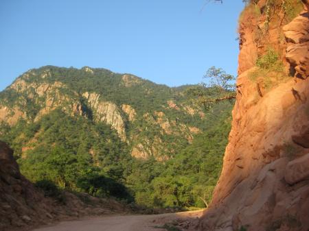 El camino entre Tarija y Villamontes