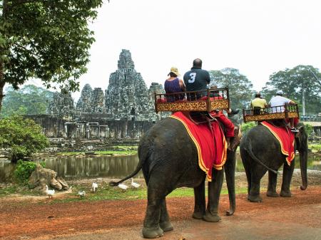 Elephant Ride