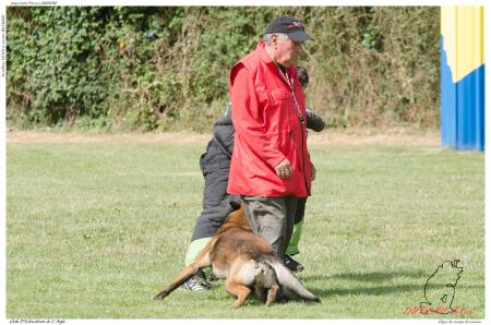 Elgos des Loups de Genain DUPLAN E - -3486