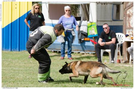 Elgos des Loups de Genain DUPLAN E - -3492