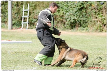 Elgos des Loups de Genain DUPLAN E - -3497