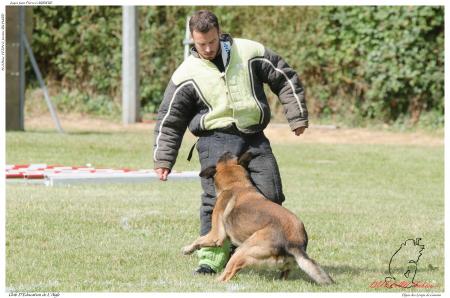 Elgos des Loups de Genain DUPLAN E - -3498