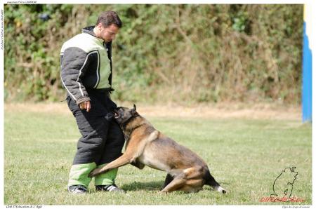 Elgos des Loups de Genain DUPLAN E - -3501