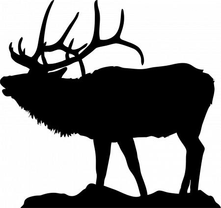 Elk Silhouette