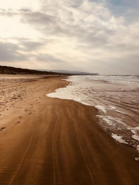 Empty Brown Sand Seashore