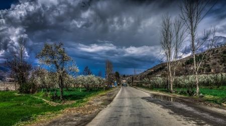 Empty Concrete Road Surrounded by Trees and Grass Under Blue Sky With Heavy Clouds