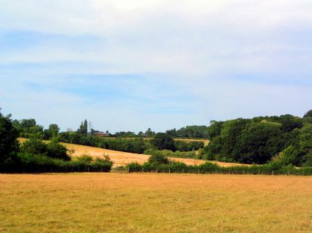 English Countryside - Suffolk