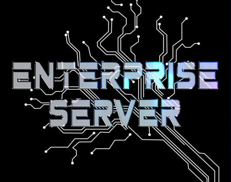 Enterprise Server Means Online Network And Businesses