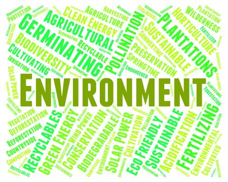 Environment Word Shows Earth Friendly And Eco-Friendly