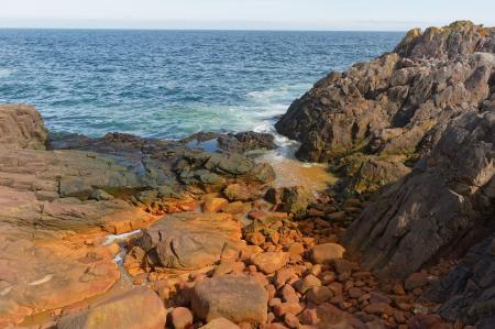 Environmental river damage