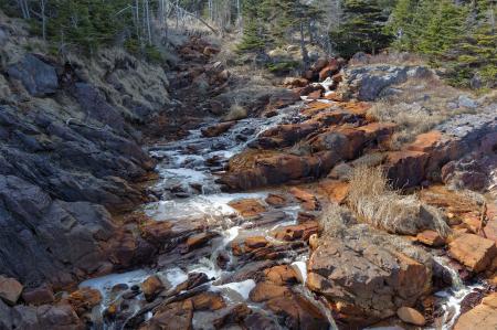 Environmental river damage