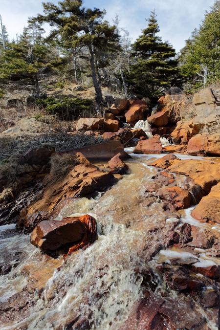 Environmental river damage