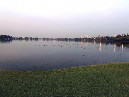 Evening Lake View