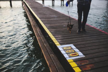 Evening walk with the dog along the pier