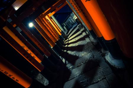 Exploring Fushimi Inari