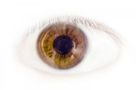 Eye