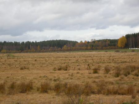 Fall 2008 in Sweden