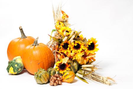 Fall cornucopia on a White background