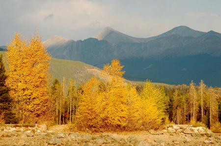 Fall Foliage with Mountains