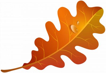 The orange leaf
