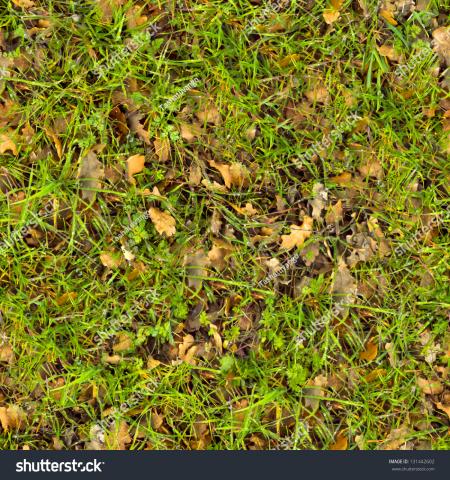 Fallen Grass Texture