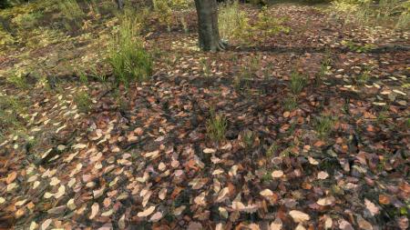 Fallen Grass Texture