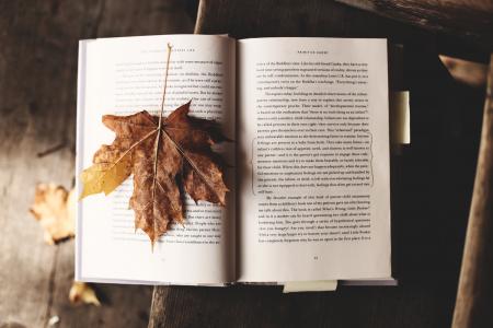 Fallen Leave on the Book