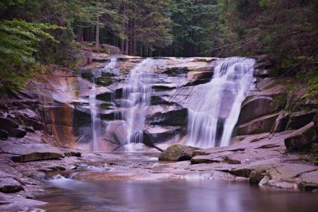 Falls and River Surrounded by Trees With Rocks