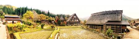 Farm Field Surrounded by Houses