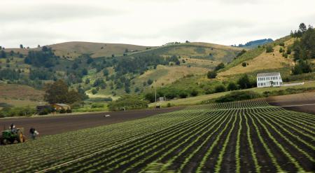 Farm in California