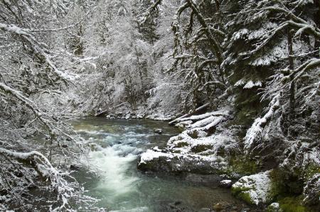 Fernview Recreation area, Oregon