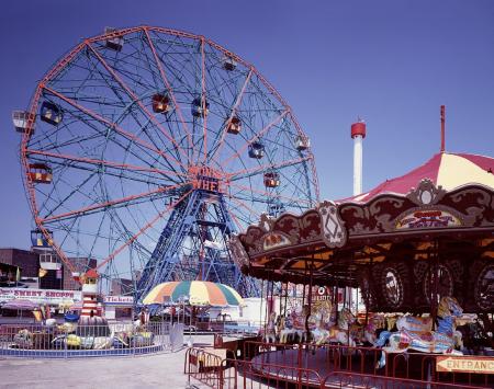 Ferris Wheel in the Park