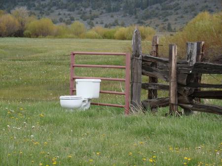 Field Toilet
