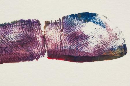 Fingerprint