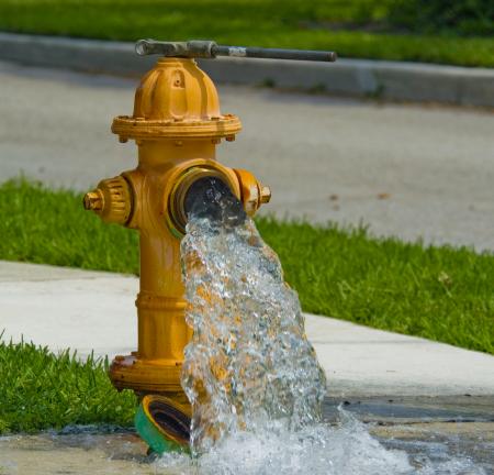 Fire Hydrant