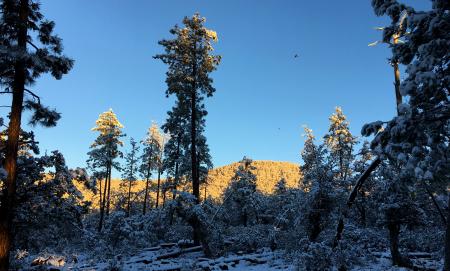 First Light Hits the Top of the Rim