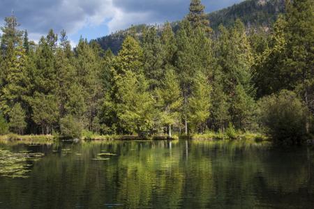 Fish Hatchery Pond, Oregon