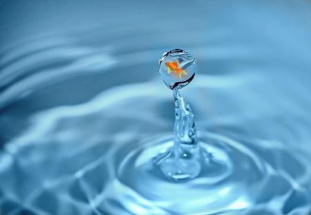 Fish inside a waterdrop