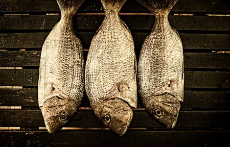 Fish ready to smoke on wood background