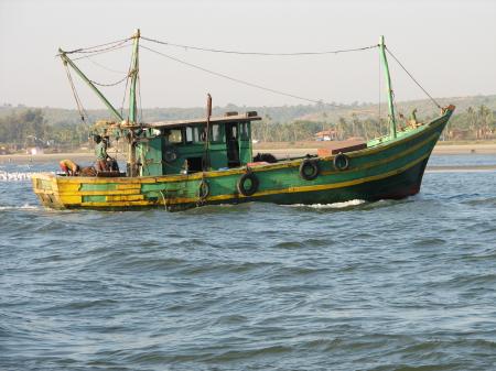 Fishing boats