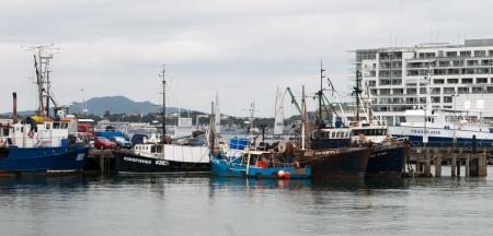 Fishing vessels docked at Viaduct Harbour