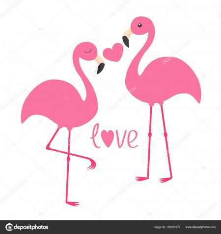 Flamingo Couple