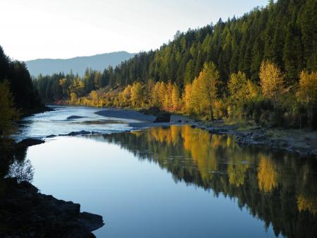 Flathead River