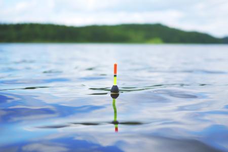 Floating in the Lake