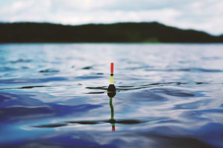 Floating in the Water