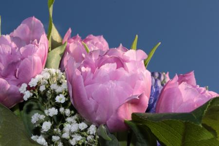 Flower Bouquet