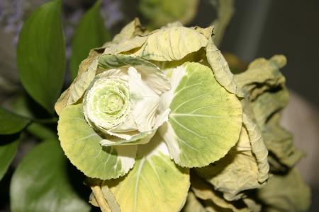 Flower closeup