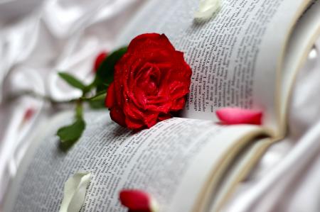 Flower n Book